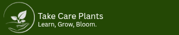 Take care plants 